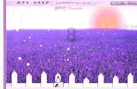 探索这是什么植物,一种花?,解决你的困惑之路